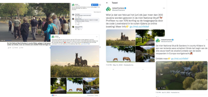 BeNe digital pack