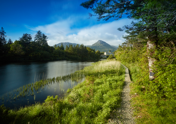 Vertical Spotlight - Ballynahinch